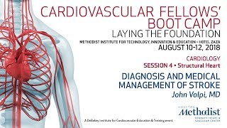 Download Lagu Diagnosis and Medical Management of Stroke (John Volpi, MD) Thumbnail
