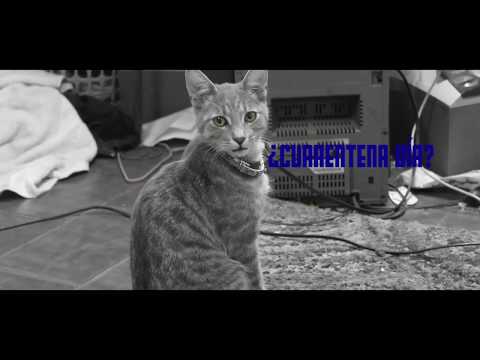 Cuarentena día 8 -  Iguok Vsc  - Doppazagas