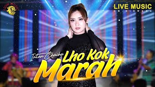 Download lagu Intan Chacha - Lho Kok Marah | Dipopulerkan oleh Elvy Sukaesih (LION MUSIC) mp3 Download lagu Intan Chacha - Lho Kok Marah | Dipopulerkan oleh Elvy Sukaesih (LION MUSIC) mp3
