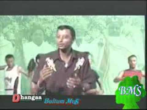Ali Biraa ,magie , Getachew, Gerry, tedala, Itenesh, Tigist  sirba gamtaa best oromo music