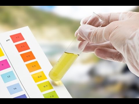 ¿Qué nos dice el color de la orina sobre nuestra salud? ¿Qué nos dice el color de la orina sobre nuestra salud?