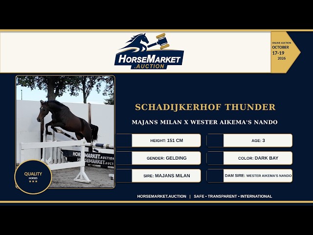 Schadijkerhof Thunder