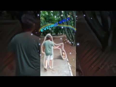 MY EVENING WALK WITH HACHI 😀😺 // I.M JASHAN