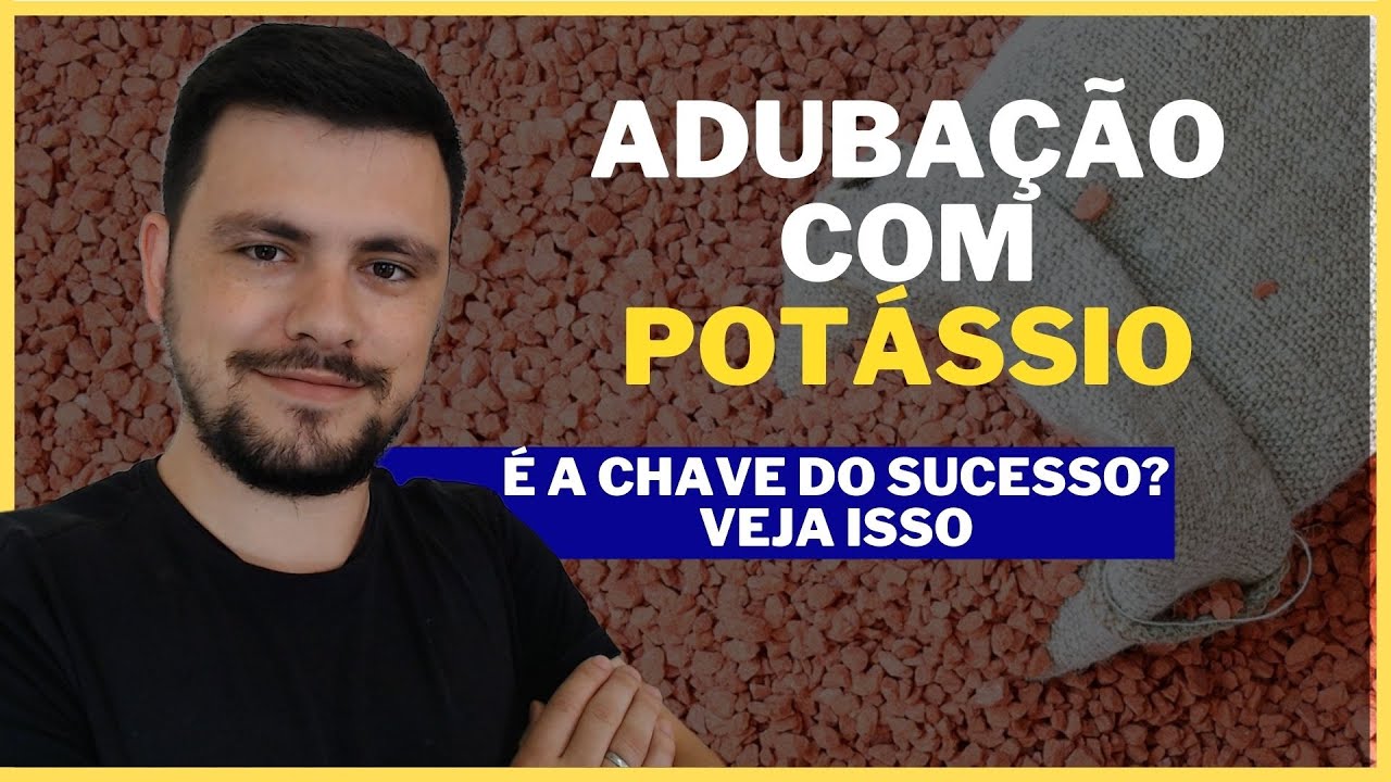 Adubação com Potássio é a chave do sucesso de uma Lavoura?