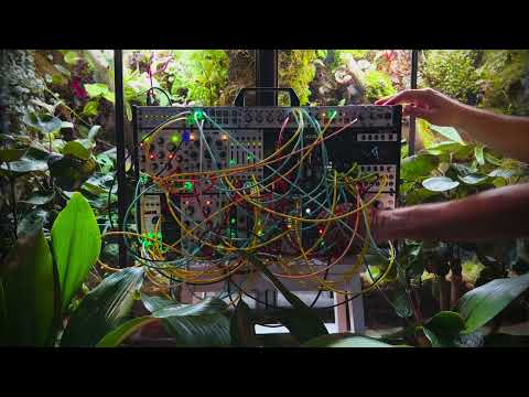 Celadon - Generative Modular Sounds - 20min