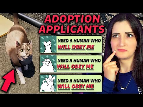 I Tried Working At A Cat Shelter …but The Cats Were Creepy