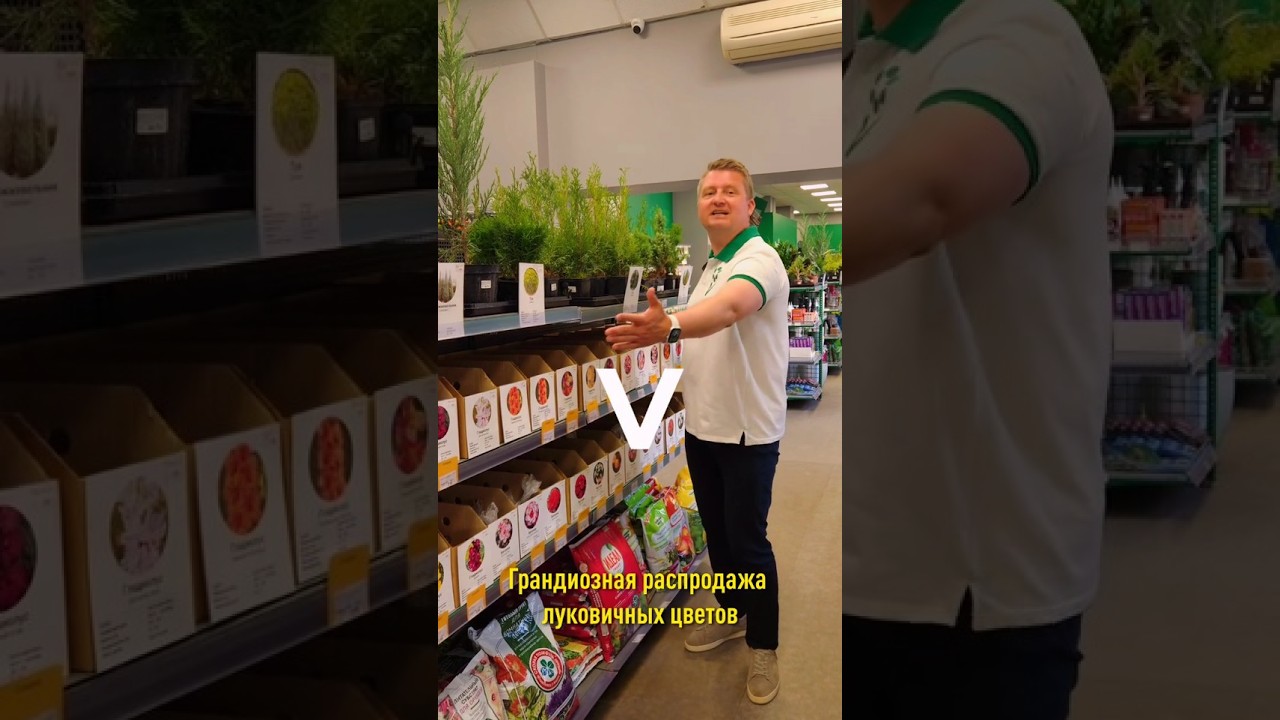 🌺 Грандиозная распродажа луковичных цветов во всех магазинах Procvetok! Поспешите, таких цен больше не будет!