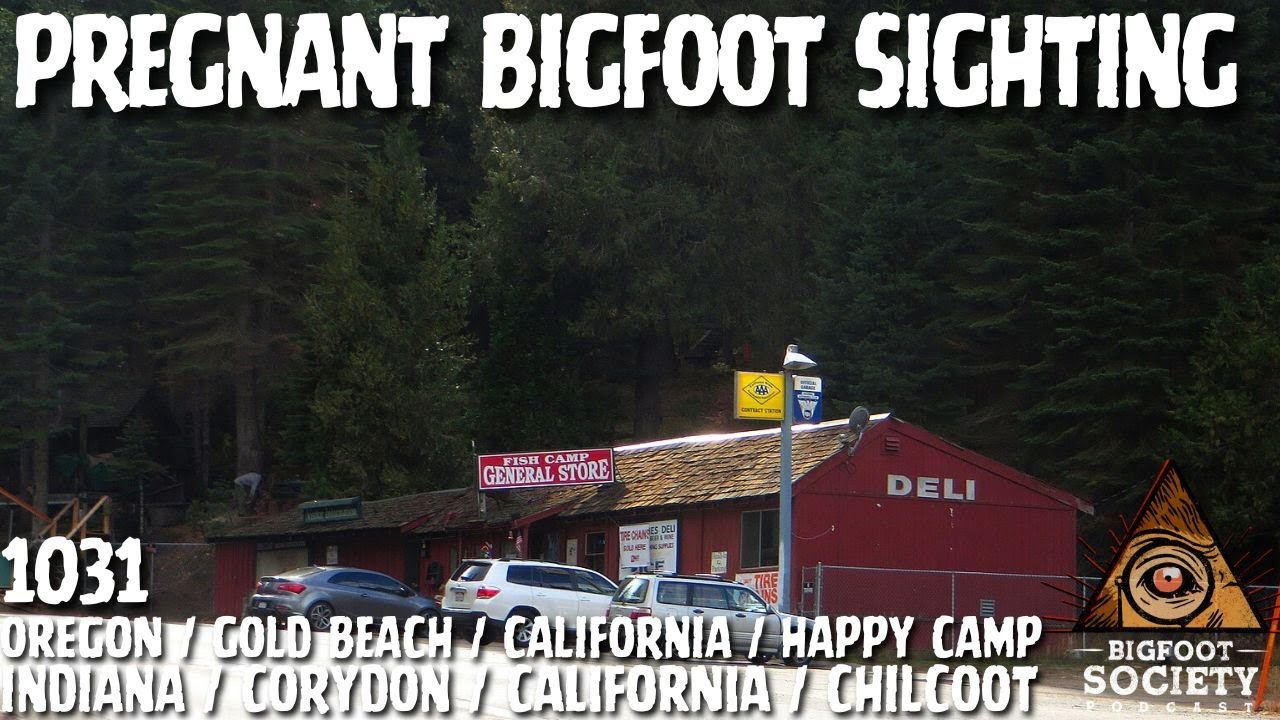 From the Rogue River to Navajo Nation: Real Bigfoot Encounters Across America