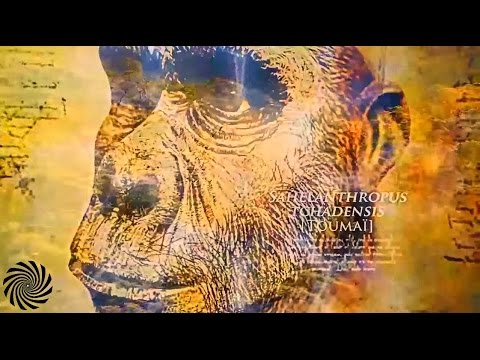 E-Mov - The Journey of Pan