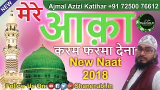 Shan E Nabi