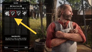 Where To Sell Animal Pelts | Red Dead Redemption 2