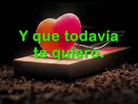 GRACIAS_-_INTERNACIONAL CARRO SHOW