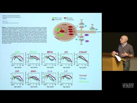 download lagu mp3 mp4 Neotenie, download mp3 Neotenie free download mp3, download mp3 Neotenie