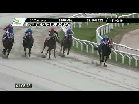 221022 c06 - CARTAGO - HIPODROMO LAS PIEDRAS