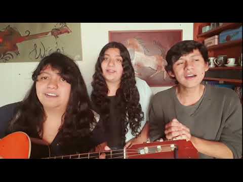 La Mujer Perfecta (COVER)-kurt