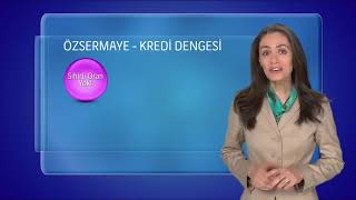 Kadın Girişimciler Rehberi:  -6- Finans Kaynaklarına Ulaşma Yolları