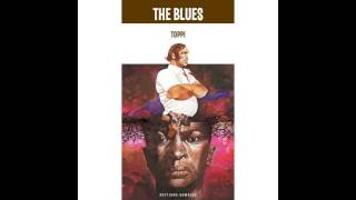 Big Bill Broonzy - Black, Brown and White