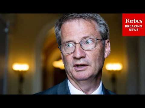 BREAKING NEWS: Tim Burchett Says Tony Gonzales 'Needs To Go'