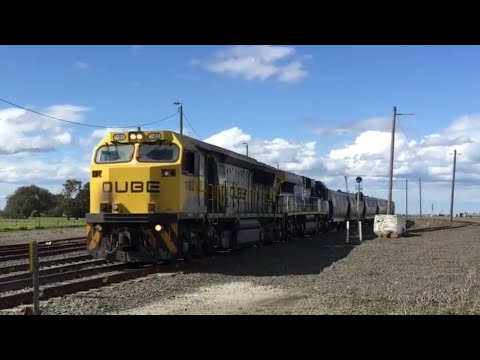 1100 & CM Class - QUBE Grain