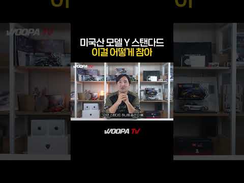 테슬라 가격인하! 4999만원 모델Y 주니퍼 가격으로 살수있는 다른 차는.?!