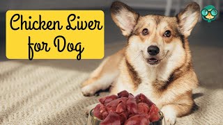How to Cook Chicken Livers for Dogs? How to Make Chicken Liver Treats for Dogs? Dog Food Recipe