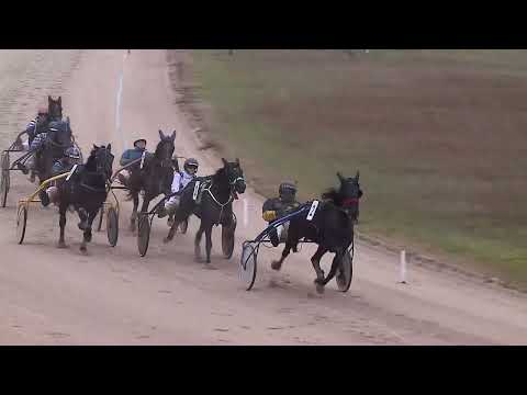 2022.12.10. 07. futam - 2022. ÉVI AMATŐR KUPA XII. FUTAMA - COPIAD HENDIKEP