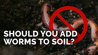 Adding Worms To Bad Soil Won