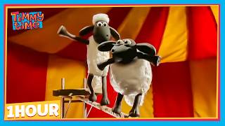 TIMMY & SHAUN'S CIRCUS PERFORMANCE! ⭐ | Timmy & Friends
