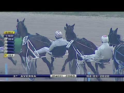 Aversa trotto 4 Gennaio 2020 - 3° Corsa