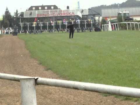 Dostihy 25.9. 2010 BRNO.wmv