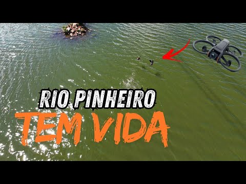 See Where the Pinheiros River Ends