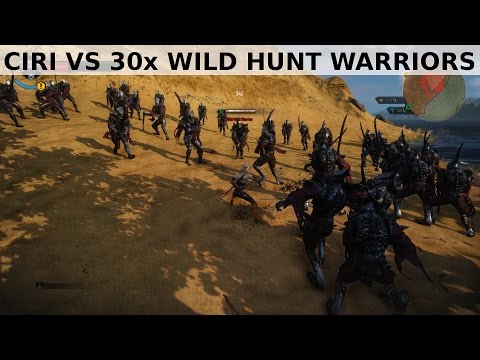 Witcher 3 - Ciri vs 30x Wild Hunt Warriors lvl 30 Death March