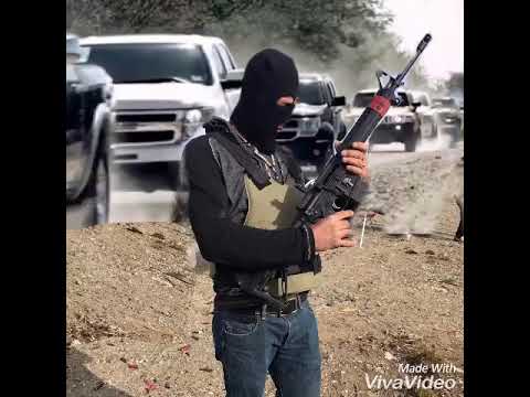 F1 panchito los tucanes de Tijuana