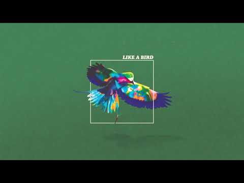 Mörk - Like a Bird