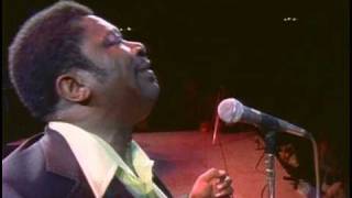 BB King - I Like To Live The Love - Live in Africa