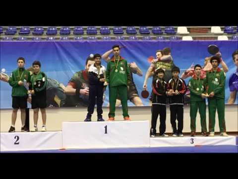 Alexander Bu, a table tennis player --- In 2016 ITTF Portugal Junior & Cadet Open