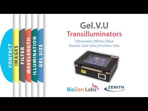 Dual Wavelength UV Transilluminator