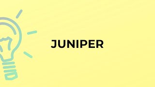 What is the meaning of the word JUNIPER