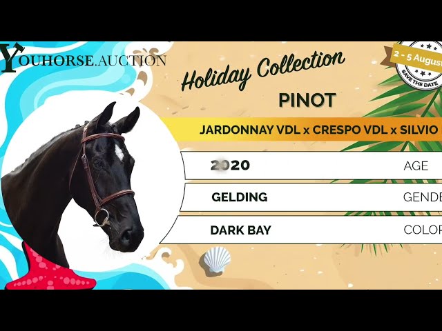 Pinot homevideo