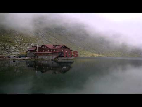 Tree - Sacred Elements (Feat. Finn Rivera)