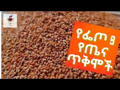 የፌጦ 9 የጤና ጥቅሞች (feto 9 best uses) coffee tube2021