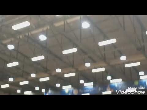 EVI CUP 2019 #EVICUP #HILDESHEIM DAILY Vlog #201