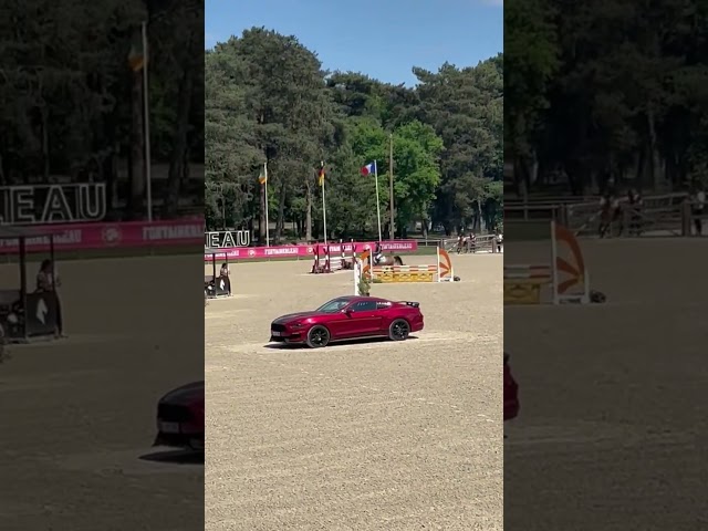 Poney &agrave; louer Galinka Lakshmi 