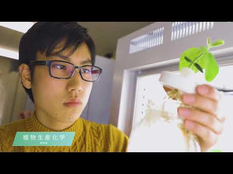 東京農業大学・農芸化学科「化学の視点で農学と生命科学の幅広い領域に挑戦」
