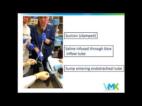 VMX 2018 Blind Bronchoalveolar Lavage Fast and Simple