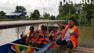preview picture of video 'Padi Tabela di Area Pasang Surut Telang Sumatera Selatan'