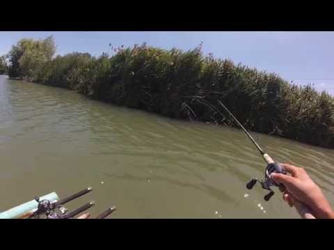 EmiBless ... OH NO..!!