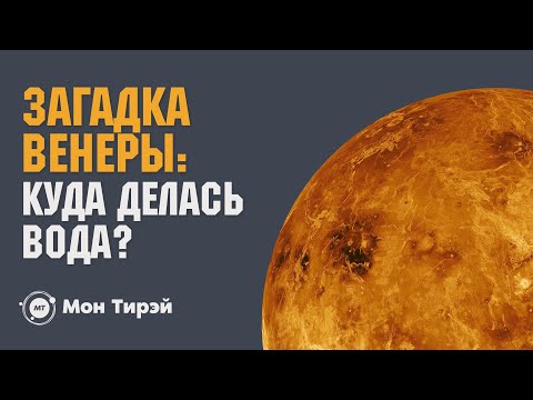 Загадка Венеры, замена антибиотикам и «брат-близнец» Солнца | новости науки 18+
