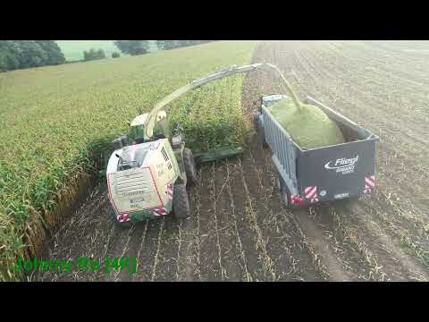 Maishäckseln 2023 Teil 14 LU Biggel mit Krone Big X 1100, JCB, Fendt Deutz [4K]