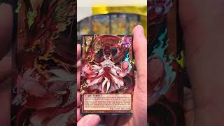 Opening NEW Yugioh rarity collection five booster pack! #yugiohtcg #yugioh #yugiohcommunity